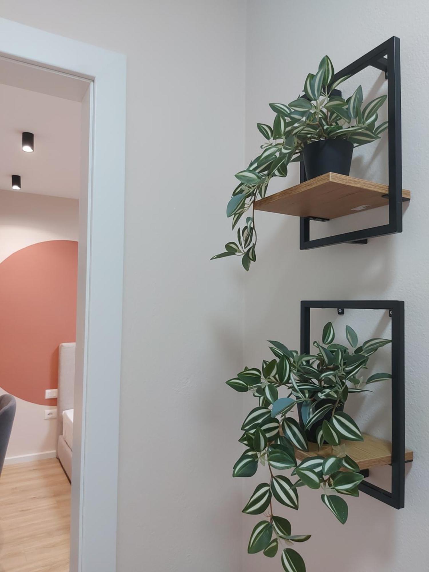 地拉那 Center Cozy Nest酒店 外观 照片