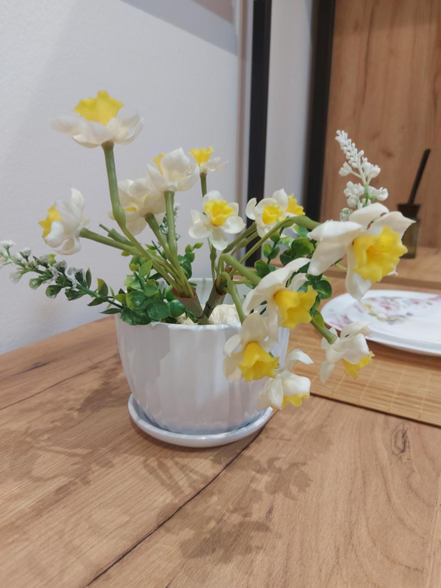 地拉那 Center Cozy Nest酒店 外观 照片